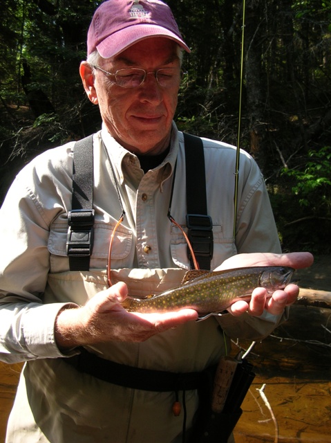 Brook Trout on a sunny day