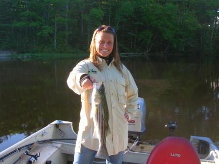 Schoolie Striper in late spring
